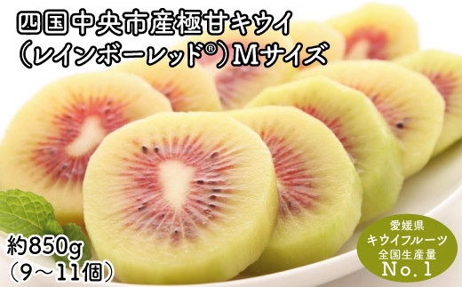 10月下旬以降発送＞【ぽぽ農園】レインボーレッドキウイ（四国中央市産