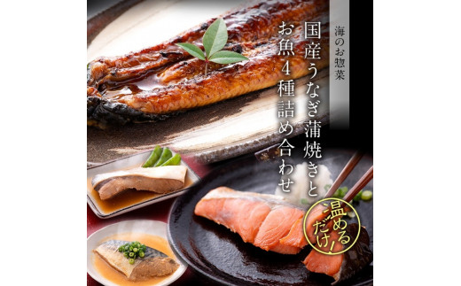 煮魚 焼魚 4種16切+うなぎ蒲焼1尾 セット [B-088010]