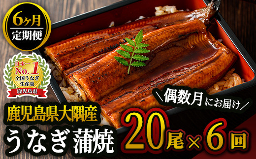 2084-1 【６ヶ月定期便】鹿児島県大隅産うなぎ蒲焼20尾（3kg）【国産】偶数月にお届け