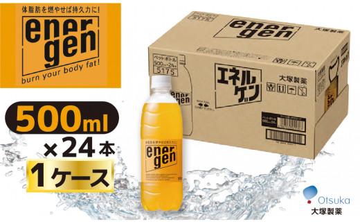 22A060】 大塚製薬 『エネルゲン』 500ml×24本 - 群馬県高崎市