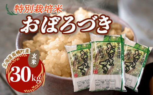 特別栽培米 おぼろづき（玄米）30kg 令和6年産 2024年10月発送開始 今摺り米 NP1-253 - 北海道南幌町｜ふるさとチョイス -  ふるさと納税サイト