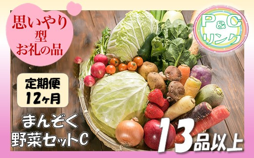 【6ヶ月 定期便】 まんぞく野菜セットC 13品 以上 季節 旬 春野菜 夏