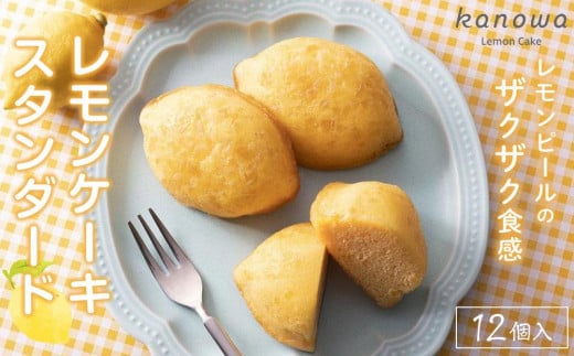 ya̎RCsza̎RP[L X^_[hi12j