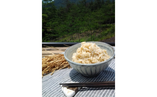 こだわりのお米!長寿米（5kg）[001] - 兵庫県多可町｜ふるさとチョイス