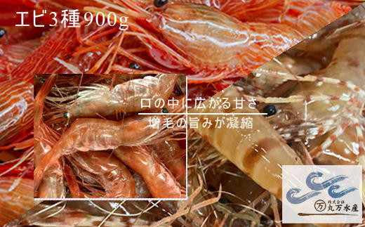 7-022-011 えび3種セット(甘えび・ボタンエビ・シマエビ) - 北海道増毛