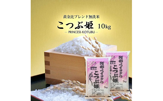 670R04 無洗米 こつぶ姫 5kg×2袋 計10kg - 山形県遊佐町｜ふるさと