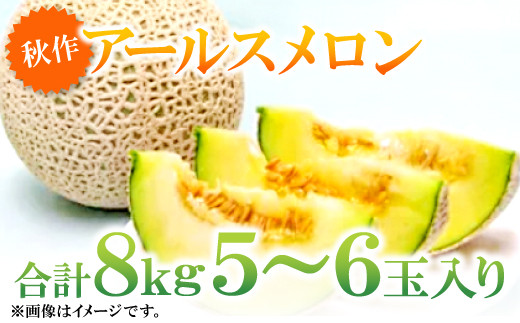 益田産アールスメロン8kg（5～6玉入り）【秋作】【メロン 秋作 先行