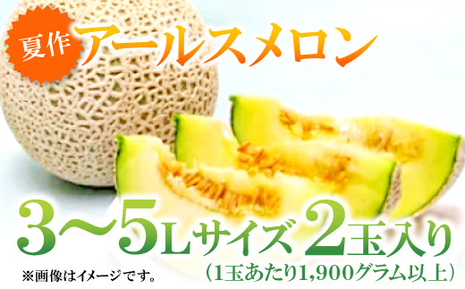 益田産アールスメロン（2玉入り）【夏作】【3L～5Lサイズ 青肉 先行予約 数量限定 期間限定 季節限定 早期予約 果物 くだもの フルーツ メロン  アールスメロン 2玉 夏作】 - 島根県益田市｜ふるさとチョイス - ふるさと納税サイト