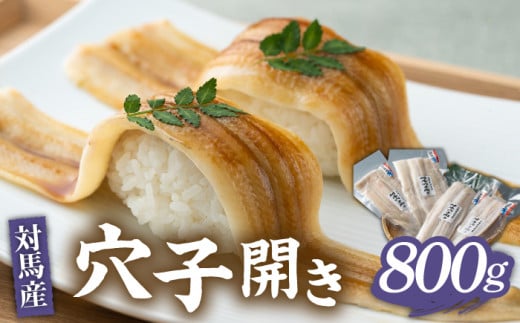 対馬 穴子 開き 800g《対馬市》【海風商事】アナゴ 国産 九州 長崎