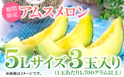 益田産アムスメロン 特大5Lサイズ（3玉入り）【先行予約 数量限定 期間