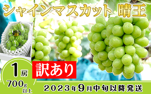 訳あり】シャインマスカット晴王1房【2023年9月中旬～10月下旬発送予定