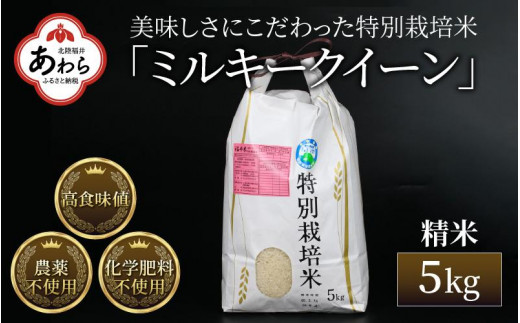 先行予約】【令和5年産新米】コシヒカリ 精米 5kg 特別栽培米 農薬不