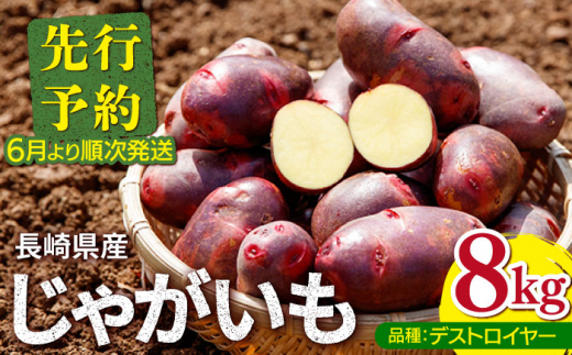 茨城県産‼︎馬鈴薯 じゃがいも デストロイヤー　グランドペチカ　10kg