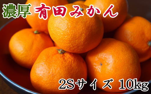 【先行予約】【産直・秀品】 和歌山 有田みかん 10kg（2Sサイズ）※着日指定不可※2024年11月中旬～2025年1月中旬頃に順次発送予定