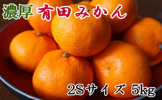 秀品】 和歌山 有田みかん 5kg（2Sサイズ）※着日指定不可※2023年11月