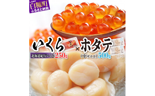 中国禁輸措置被害支援品】北海道海鮮紀行いくら(醤油味)250g × ホタテ