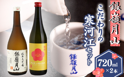 銀嶺月山《純米大吟醸と梅酒》こだわりの寒河江セット（720ml×2本）【山形県産酒造好適米「出羽燦々」、貴重な山形県産ブランド梅「谷沢梅」を使用】　 018-E-GS018