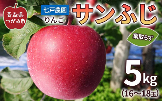 りんご サンふじ 葉取らず 約5kg(16～18玉) 青森産 つがる市【2024