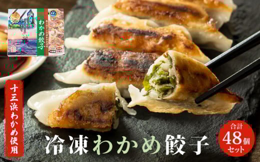 【宮城県石巻市】わかめ餃子 48個 セット わかめ 餃子