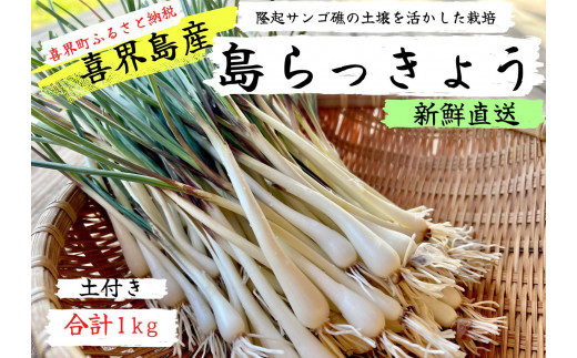 鹿児島県産 土付きらっきょう 約10キロ g 鹿児島県産 土付きらっきょう