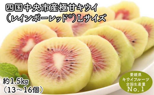 10月下旬以降発送＞【ぽぽ農園】レインボーレッドキウイ（四国中央市産