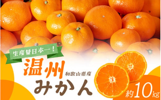 先行予約 和歌山の美味しい 温州みかん 約10kg【2023年11月中旬頃