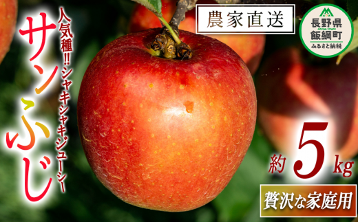 y쌧эjz Tӂ ґ ƒp 5kg i_ ꌧւ̔zs 2025N12{2026N2{܂ŏ\ ߘa7Nxn MB ʕ t[c S ь 