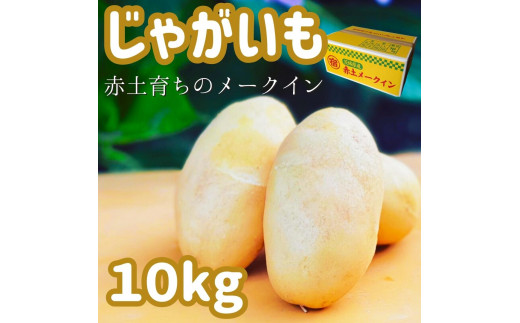茨城県産‼︎馬鈴薯 じゃがいも 十勝こがね 10kg