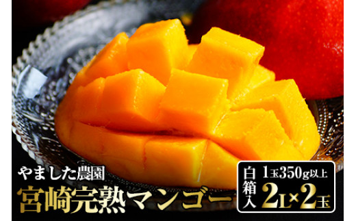 KU470 宮崎完熟マンゴー(2L×2玉入）一般用・美品 濃厚な甘さと酸味の