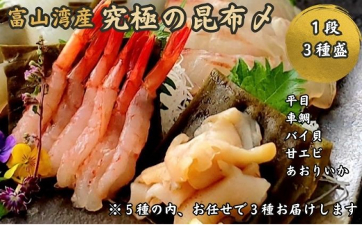 究極の昆布〆、お任せ1段3種盛（急速冷凍品）魚卸問屋はりたや 富山県魚津市 昆布締め こぶじめ 刺身 天然昆布 [№5617-0719]