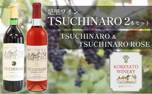 yRԔ֎sz C TSUCHINARO 2{ Zbg R Ԕ֎s