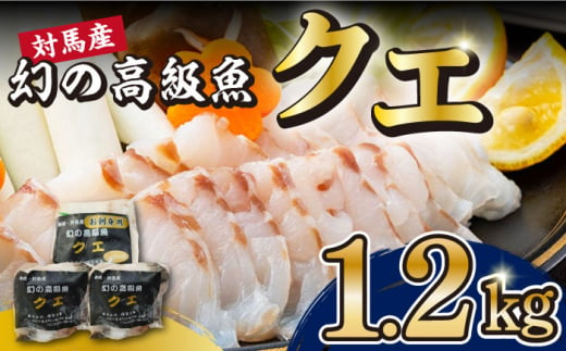 24年11月より順次発送】対馬産 幻の高級魚 クエ 1.2kg《対馬市》【保家商事】 くえ 高級魚 アラ 魚 クエ 希少 人気 ランキング 冷凍 対馬  長崎 九州 つしま 対馬市 海鮮 魚介 刺身 刺し身 バラエティ しゃぶしゃぶ [WAA014] - 長崎県対馬市｜ふるさとチョイス - ふるさと  ...