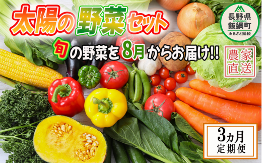 野菜 太陽の野菜セット 【 8月から 3か月 定期便 】 季節ごと旬の野菜 配送先は本州限定  2024年8月中旬頃から2024年10月中旬頃まで順次発送予定 ビオ農産物 太陽の恵み ( 化学肥料 除草剤 不使用 ) 長野県 飯綱町 [1041]  - 長野県飯綱町｜ふるさとチョイス - ふるさと納税 ...