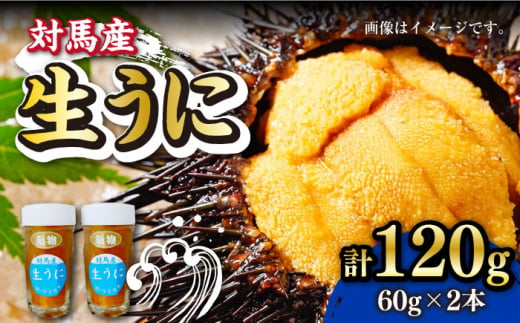 対馬産 生うに 60g×2本《対馬市》【保家商事】 ウニ うに 冷凍 生ウニ 雲丹 対馬 ムラサキウニ 紫ウニ 紫うに 人気 ランキング 長崎 九州  つしま 対馬市 海鮮 魚介 [WAA017]