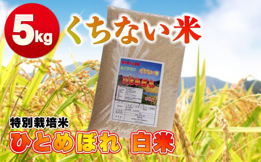 令和6年産 新米 】くちない米（特別栽培米 ひとめぼれ 白米）5kg お米 岩手産 東北 おいしいお米 産地直送 産直 あぐり夢 岩手県北上市  B0232 - 岩手県北上市｜ふるさとチョイス - ふるさと納税サイト