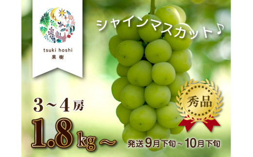 産地直送】上山産・絶品シャインマスカット １.８ｋｇ以上♪ 0140-2303