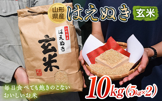 山形県産 はえぬき 玄米 10kg（5kg×2袋） FSY-0654