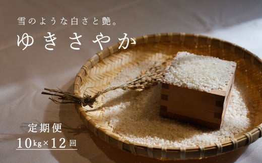 ゆきさやか 精米 10キロ sd1_249893e757c2cd048bfbc71fab
