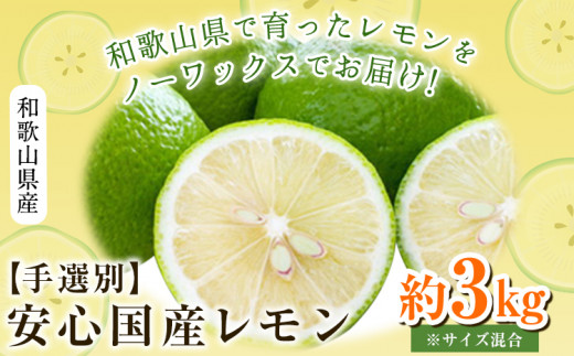 手選別・産直】 和歌山県産 安心 国産 レモン 約3kg (サイズ混合または