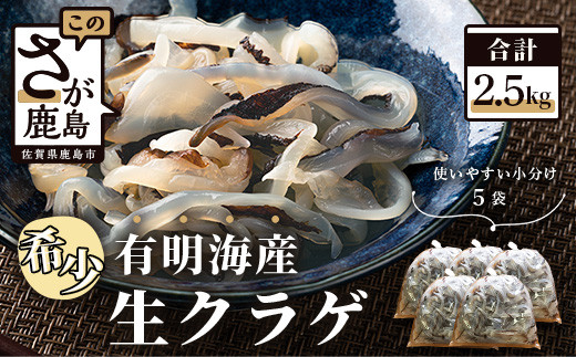 B-433【有明海産】希少！新物！生クラゲ2.5kg（ビゼンクラゲ） - 佐賀
