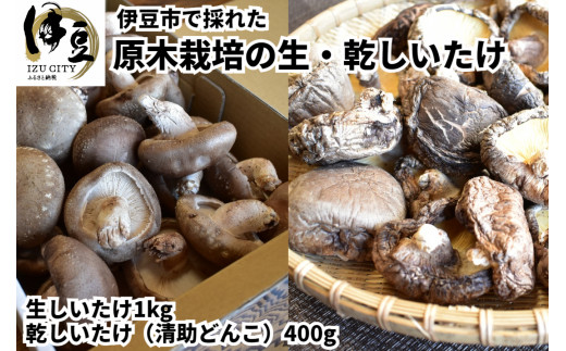 Amazon.co.jp: 大洋物産 干し椎茸 しいたけ スライス 業務用