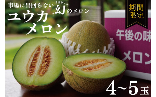 ユウカメロン ユウカメロン(メロン) | 産地直送通販 | 青森の野菜 | RED APPLE