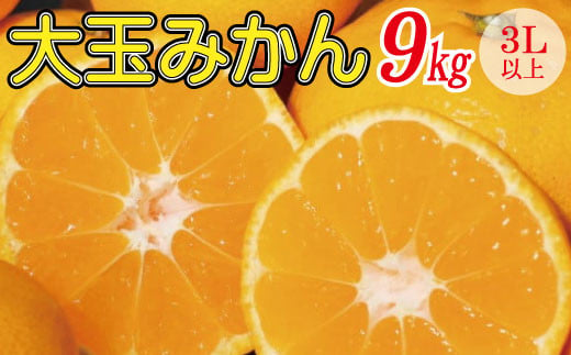 先行予約 和歌山の美味しい大玉みかん 約9kg （3L以上）【2023年12月