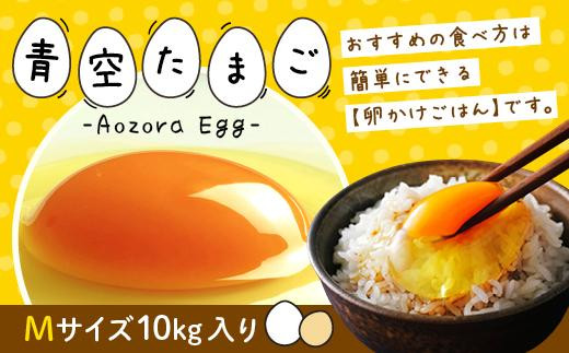 青空たまごMサイズ１０キロ入り(共) - 和歌山県有田川町｜ふるさと