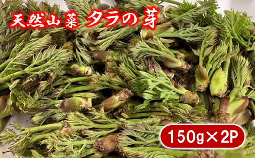 岩手産 天然タラの芽 150g×2P 合計300g 山菜 たらのめ - 岩手 岩手産 天然タラの芽 150g×2P 合計300g 山菜 たらのめ - 岩手