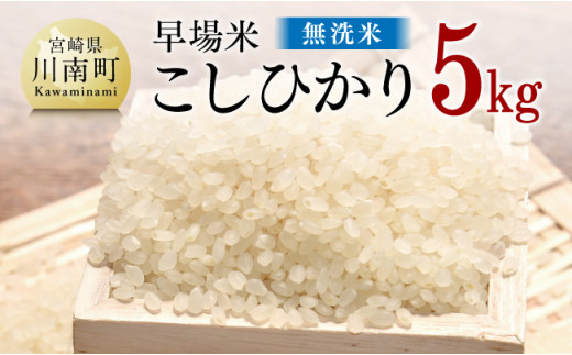 令和5年産 早場米 勝本さんちのこしひかり 無洗米 5kg【お米 米 白米