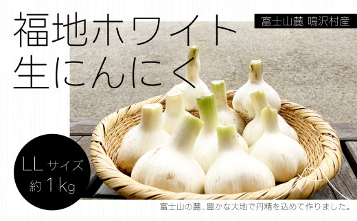 富士山麓 鳴沢村産福地ホワイト 生にんにく 約1kg NSH002 - 山梨県鳴沢