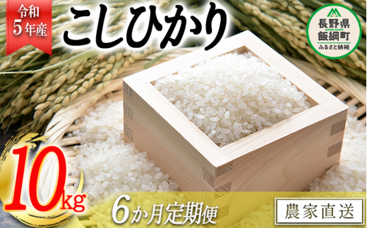 米 こしひかり 10kg × 6回 【 6か月 定期便 】( 令和5年産 ) 沖縄県へ