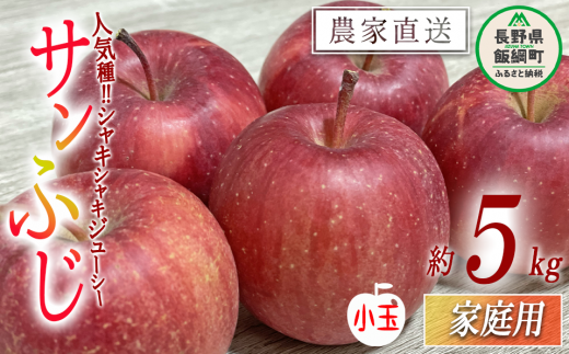 今年終了、来年予約のみ。家庭用長野県産ふじりんご、飯綱町産ふじりんご小玉更にお買得10㌔も出品中‼︎