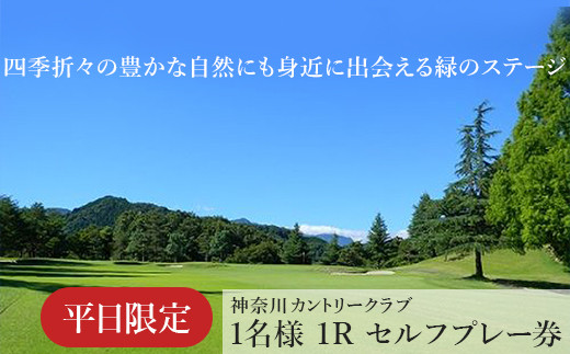 y_ސ쌧͌szI͌ŃStI_ސJg[Nuyz1l@1RZtv[